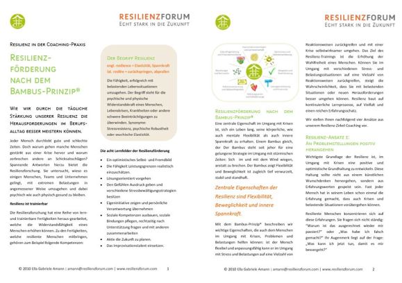gabriele amann_resilienz-coaching nach dem bambus-prinzip