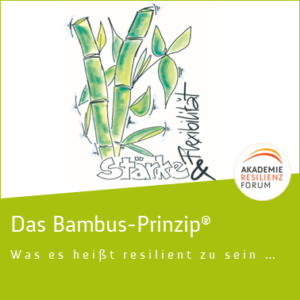 Resilienz-Zirkel-Training nach dem Bambus-Prinzip