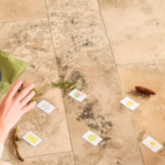 Resilienz-Zirkel-Training_Auswertung