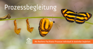 RZT Ausbildung Nutzen Facilitator Prozessbegleitung