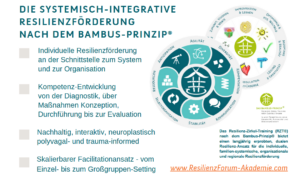 ResilienzForum Resilienz-Zirkel-Training nach dem Bambus-Prinzip