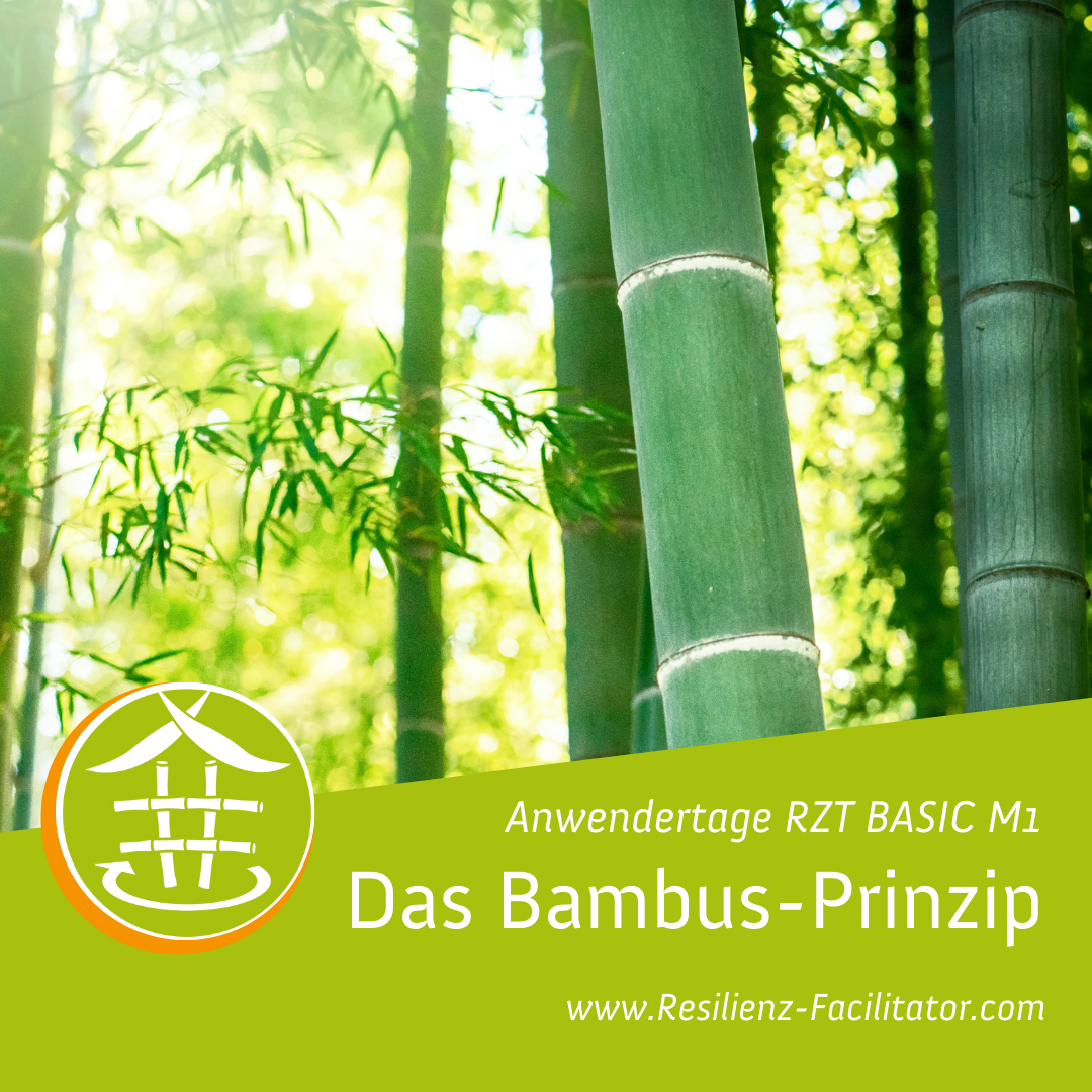 M1 Anwendertage RZT BASICS - Bambus-Prinzip M1 Anwendertage RZT BASICS - Bambus-Prinzip