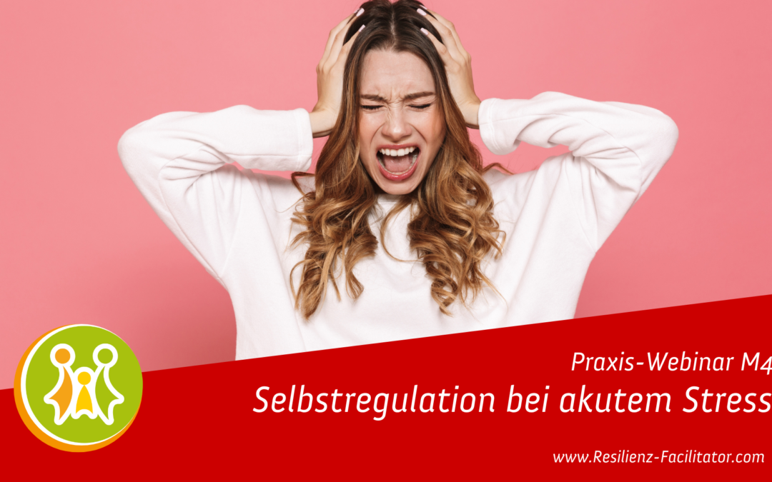 Resilienz-Webinar M4: „Selbstregulation bei Stress“ | kostenlos für Family & Friends