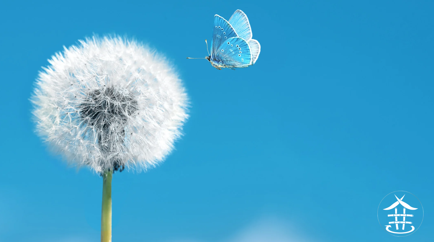 ResilienzForum_Resilienz leicht erleben_Ella Gabriele Amann