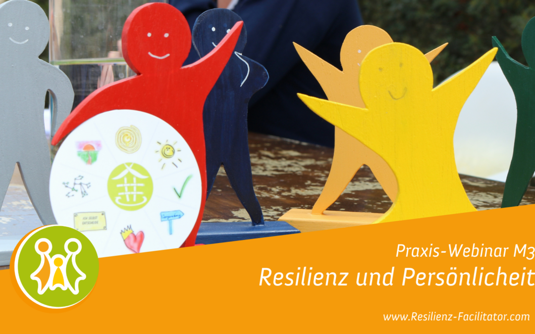 Resilienz-Webinar M3: „Resilienz und Persönlichkeit“ | kostenlos für Family & Friends