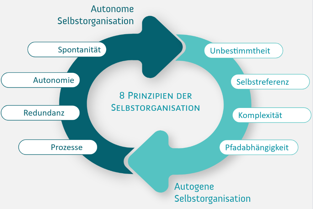 Systemischer Resilienz-Zirkel_Prinzipien Selbstorganisation