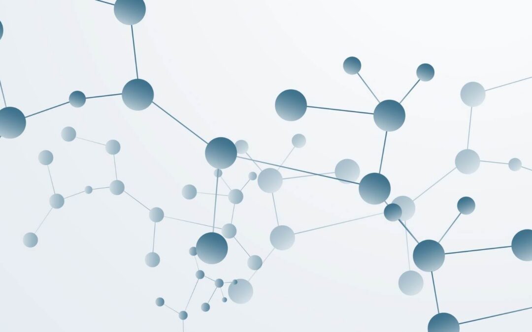 Kritik an der Polyvagal-Theorie – Stellungnahme