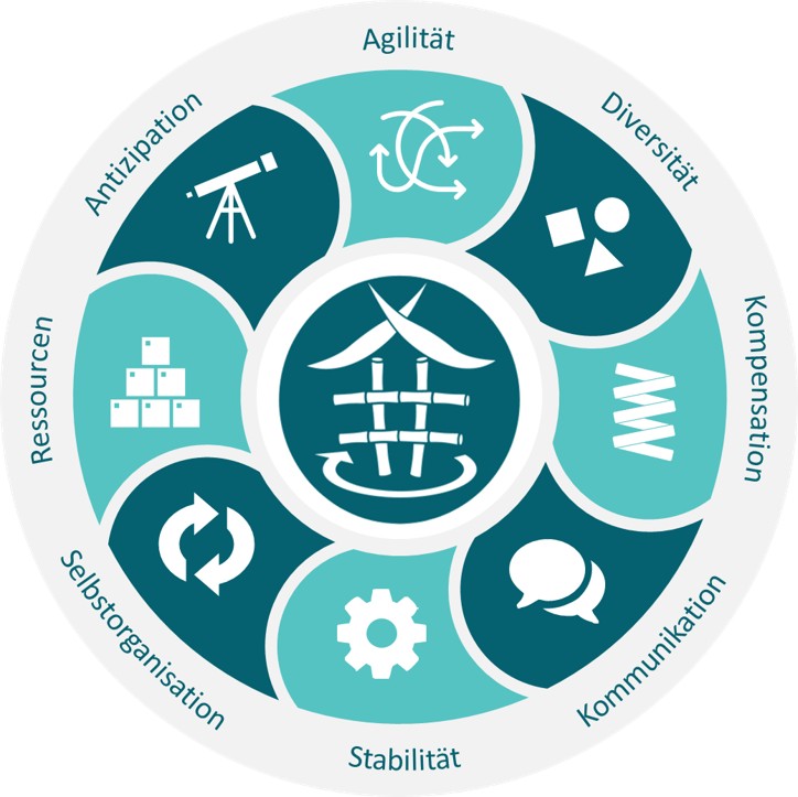 RZT systemische Meta-Prinzipien der Resilienz -DONUT RZT systemische Meta-Prinzipien der Resilienz -DONUT
